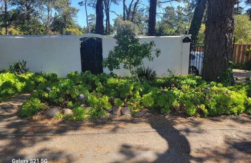 Goarges Tiny Home! - Foto 25