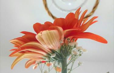 Déjà Vu apartment - Foto 57