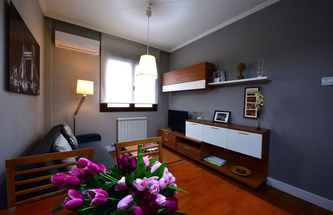 Salamanca Centro Apartamentos - Foto 64