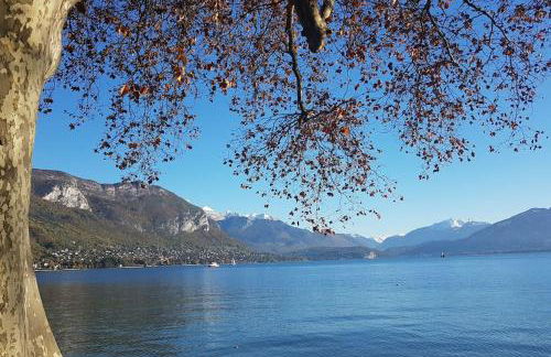 Magnifique Apt à deux pas du lac et près du centre - Foto 36