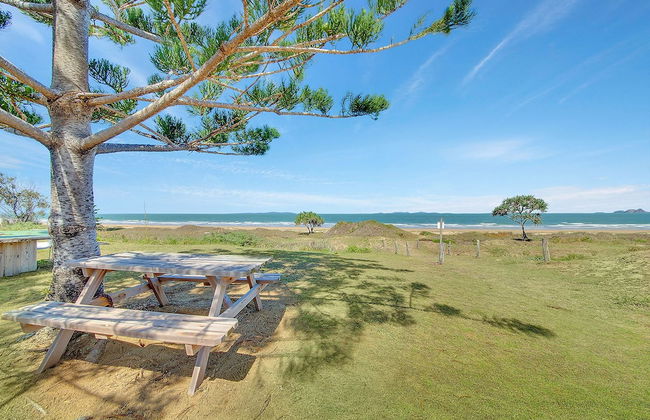 Driftwood On The Beach - Photo 33