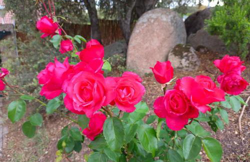 El encinar de Gabino - Foto 2