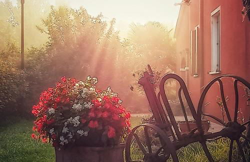 Agriturismo Adriano Pedretti - Foto 56