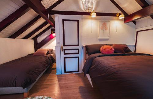 Home - Retour aux sources - Foto 13