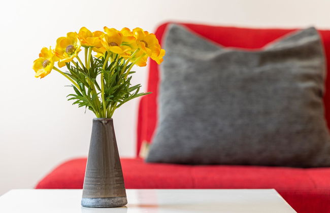 Cruz Verde - Foto 14