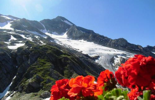 Almhaus Pfister OHG - Foto 76