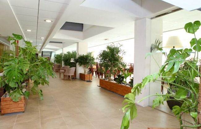 Vime Islantilla - Photo 4