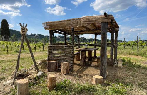 Fattoria Di Pancole - Foto 42