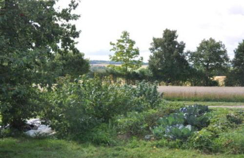 Ferienwohnungen große Albferien - Foto 59