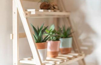 Nature Inspired Bungalow with 3 rooms - 10 mins from Manchester Airport - Foto 18