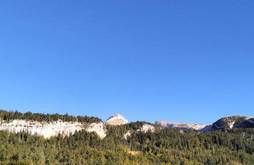 Duplex 3 pièces au pied des pistes, Corrençon-en-Vercors, 6/8 pers. - FR-1-761-3 - Foto 13