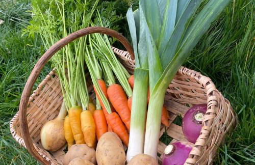 Petite maison avec piscine - Photo 14
