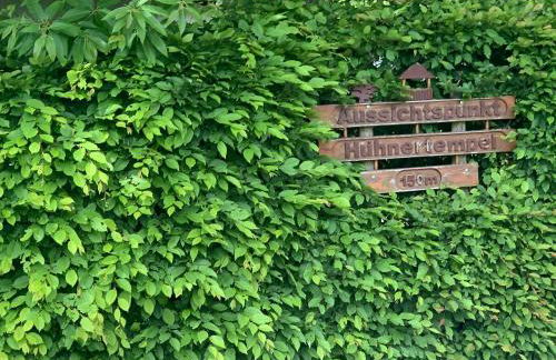 Loreley Hills Residence 2 - Foto 20