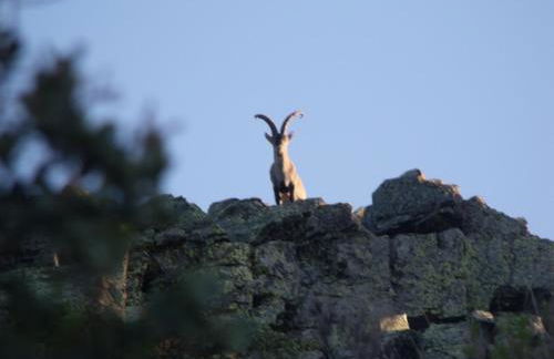 Casa Rural Arroal - Foto 27