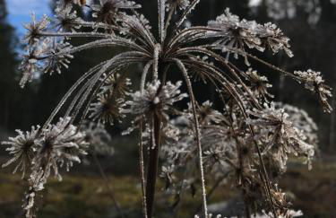 Erholsamer Traumurlaub wo auf Bergen Schlößer wachsen - Foto 25