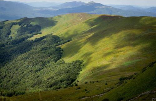 Całoroczne Domki Zacisze Hnatowego Berda , Wetlina 119 - Foto 13