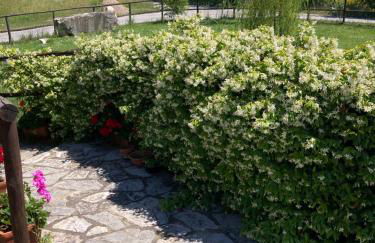 Salto di Gatto - Foto 34