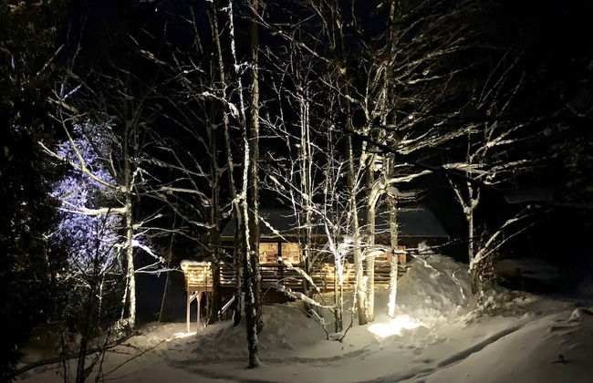 Hauser's Bayfield Cabin - Foto 45