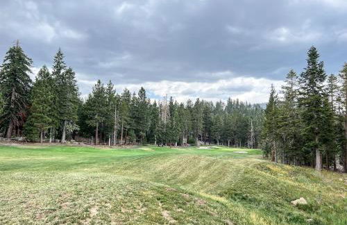 Mammoth Reservations - Foto 62