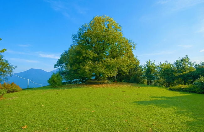 Villa Il Castagno - Foto 57