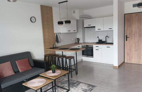 Wczasy Chmielno Apartament PUDROWY - Foto 14