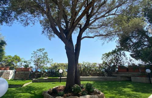 La casa sull’acqua - Photo 16