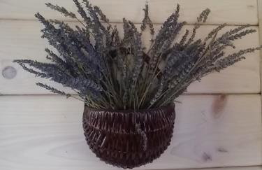 Mazurski Staw - Foto 63