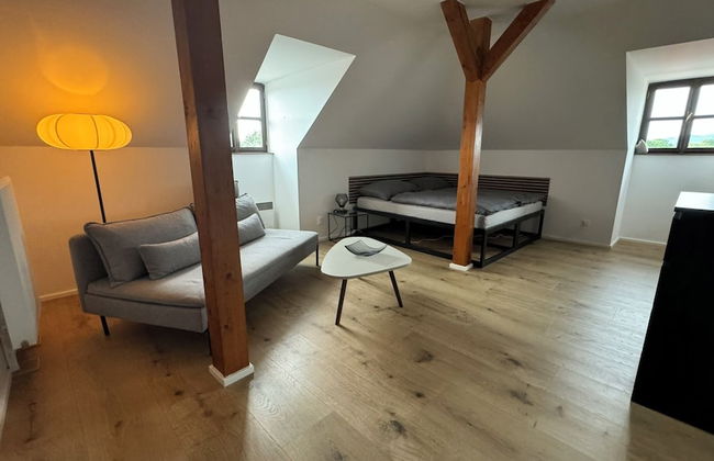 Family Apartments Černice - Foto 40