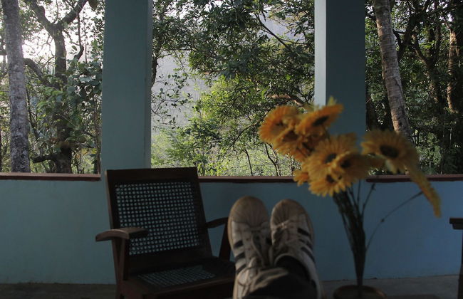 Mahagedara Home Stay - Photo 14