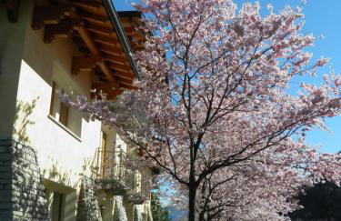 Villa Primula - Foto 27