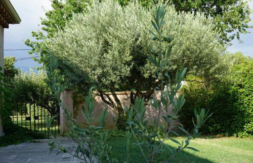 La belle histoire Gîte Ventoux - Foto 29