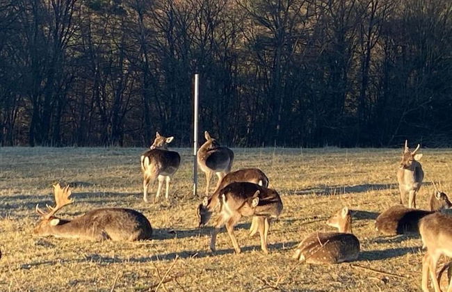 Paganetti´s Chalet - Two Bedroom House - Foto 15