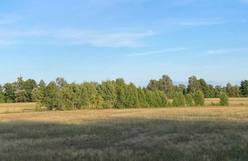 Letnia Oficyna - Foto 31