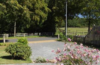 Heideglück - Foto 13