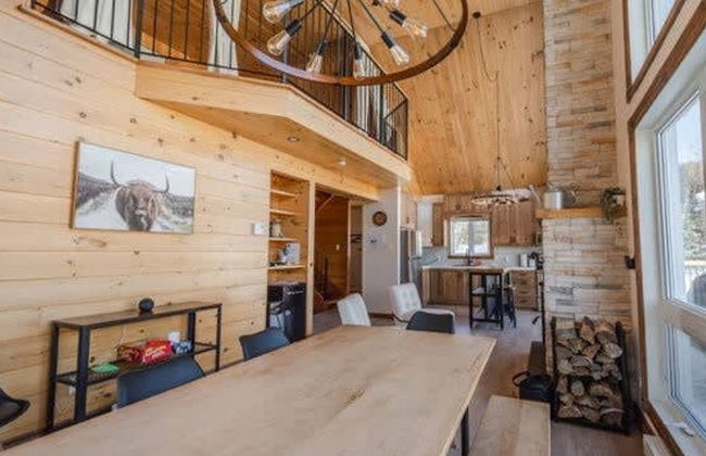 Sommet- Pet Friendly- Spa- SKI IN SKI OUT St-c me - Foto 7