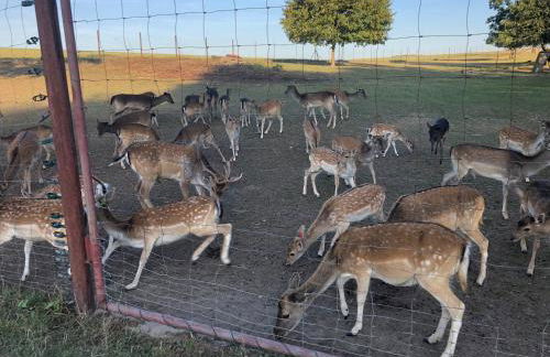 Seeblick Apartments Mühlau - Foto 46