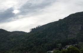 Loft Pereira - Foto 7