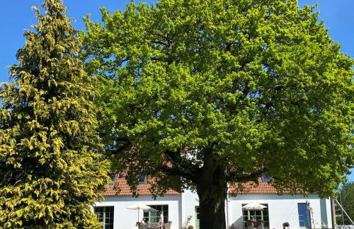 Gutshaus Kranichflug - Foto 17