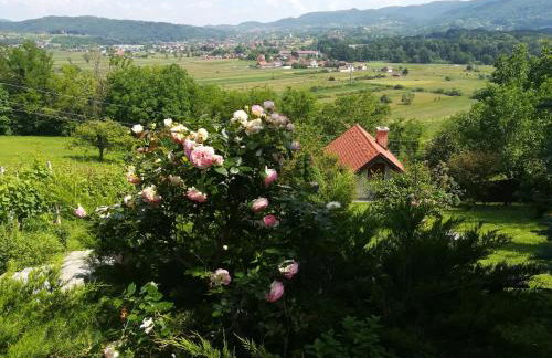 Kuća Za Odmor Barbara - Photo 23