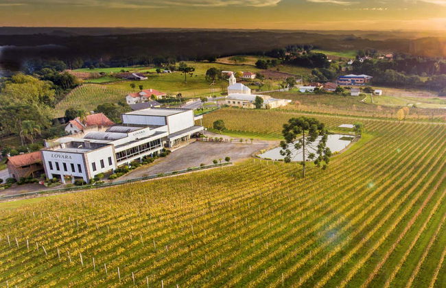 Vale dos Vinhedos Wine Tour - Photo 6