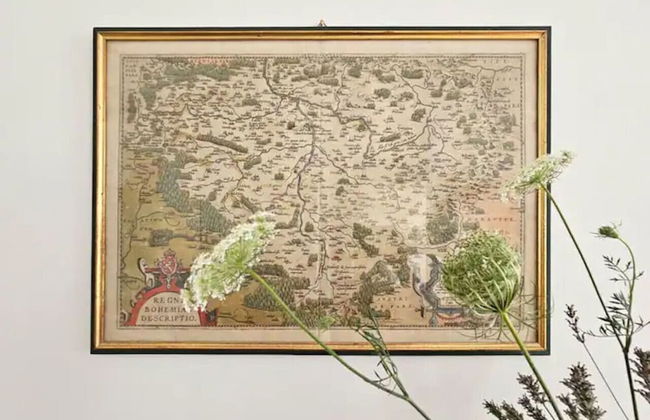 Red Orange Palm - Foto 61