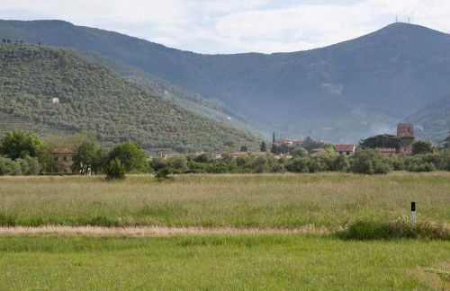 Agriturismo Villa Rosselmini - Foto 4