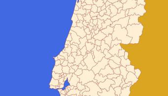 Anjú-Pardal - Foto 3