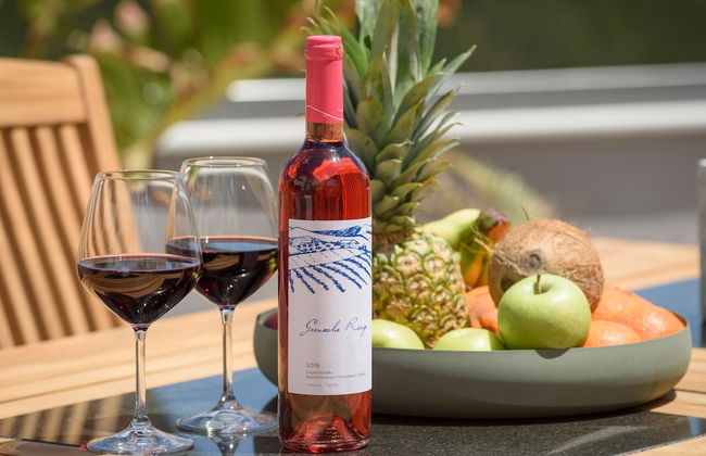 Sun Ray Beach life Villa - Foto 29