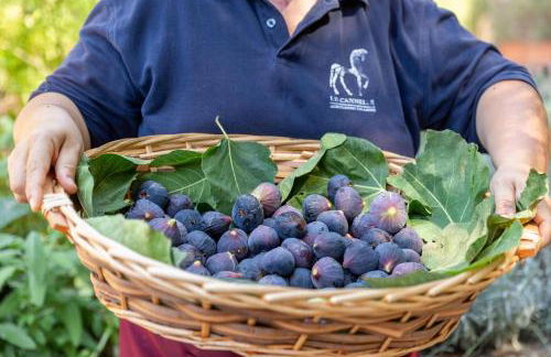 Azienda Agricola Club Le Cannelle - Foto 34