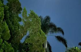 Paraiso da Represa Ibiuna - Foto 35