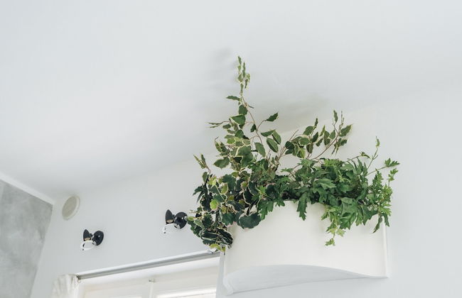 Concordia 34 - Foto 46