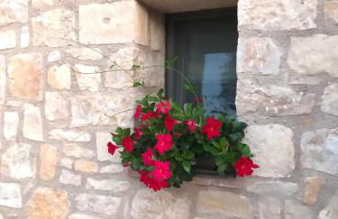 Luxury Apartments San Zeno - Photo 16