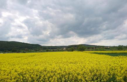 Ferienhaus am Eisgraben - Foto 61