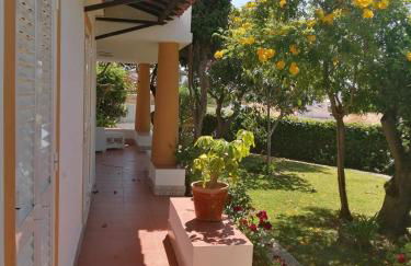 Oura Parque -Apartamentos Turisticos - Foto 12